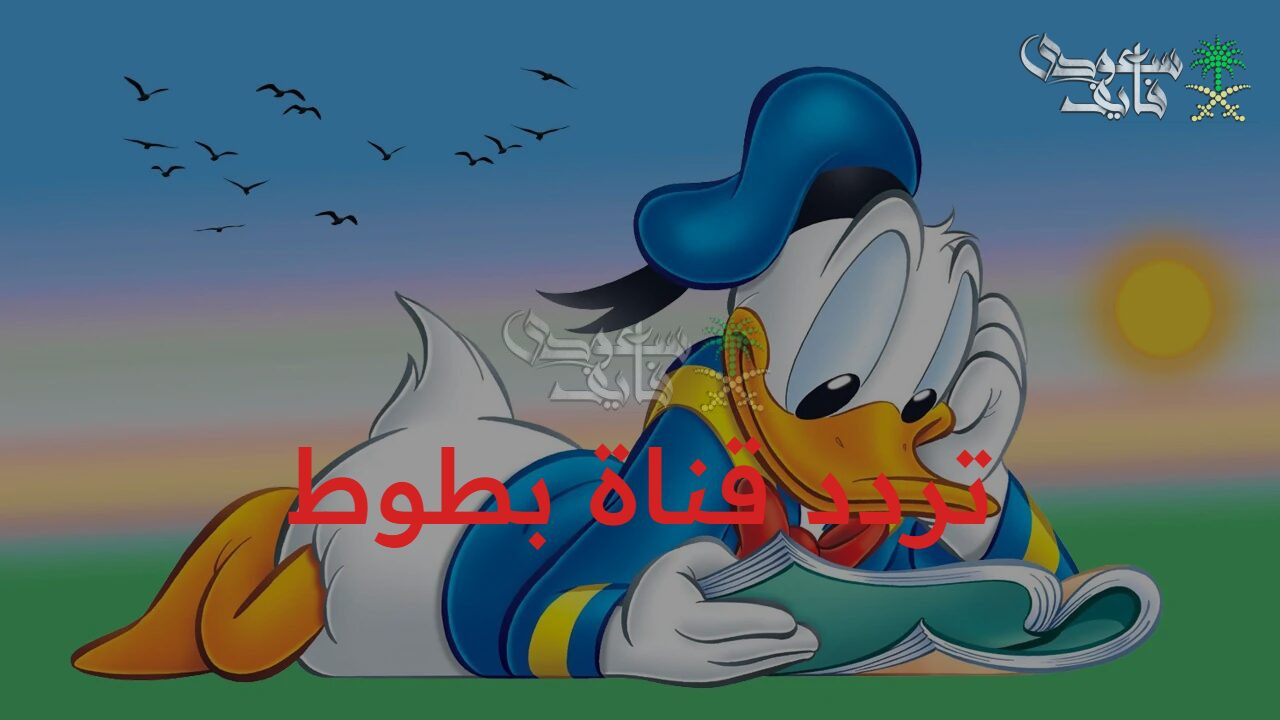 اضبط تردد قناة بطوط Batoot Kids 2025 لمتابعة أفضل أفلام الكرتون والمغامرات للأطفال