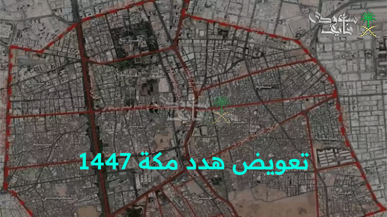 أمانة العاصمة.. تفاصيل تعويض هدد مكة 1447 وخطوات التقديم والمستندات المطلوبة للحصول عليه