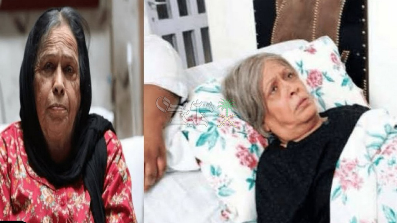 من هي حياة الفهد ويكيبيديا.. السيرة الذاتية لايفونة الفن الخليجية وسبب تصدرها التريند