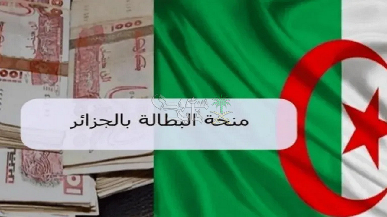 تجديد منحة البطالة في الجزائر 2025