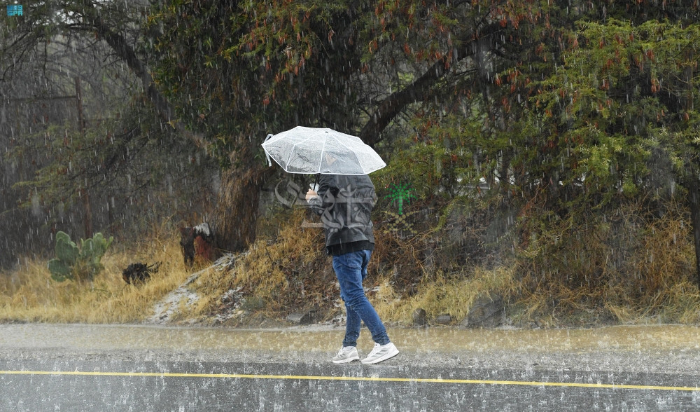 أمطار غزيرة في المملكة
