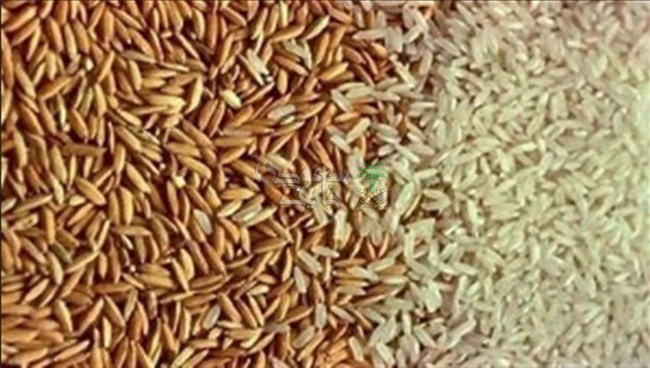 سعر طن الأرز الشعير اليوم