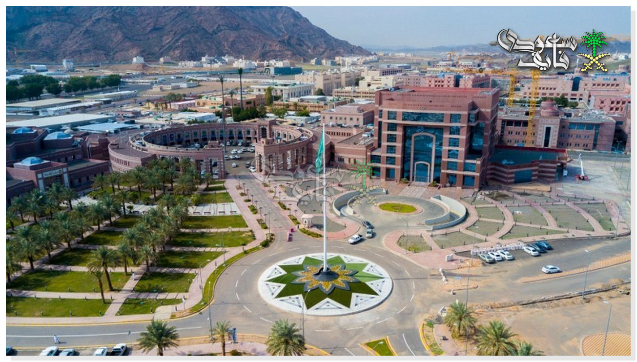 وظائف جامعة طيبة