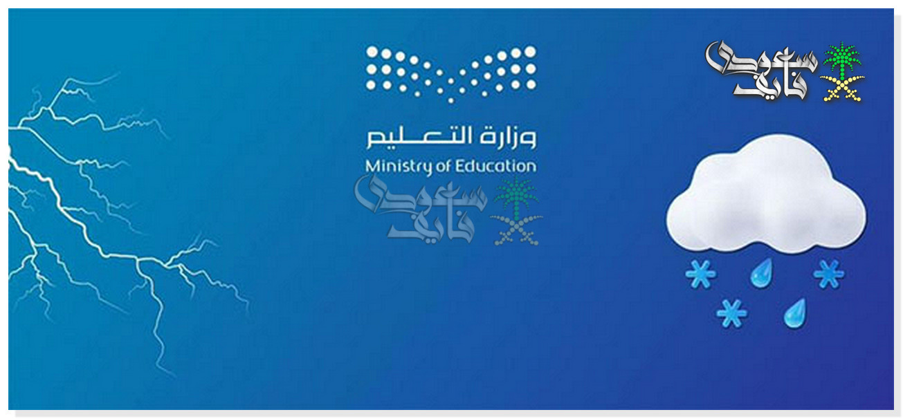 تعليق الدراسة