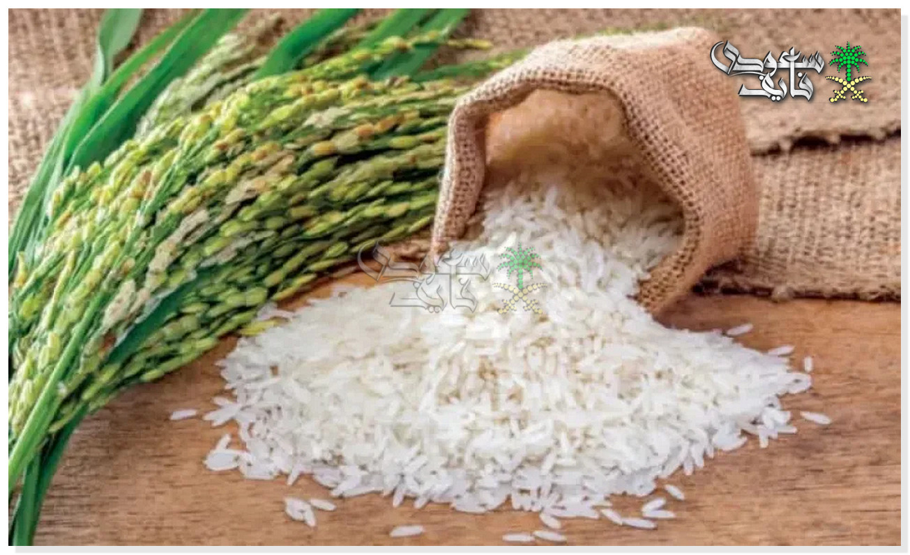 سعر الارز الشعير