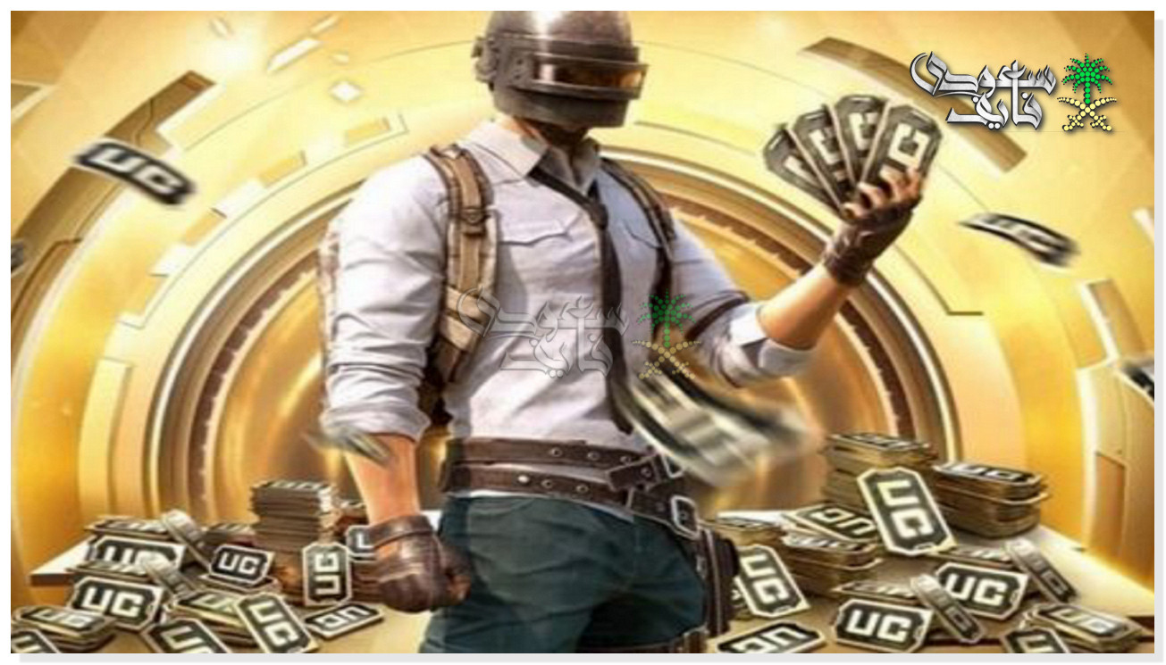 شحن شدات ببجي