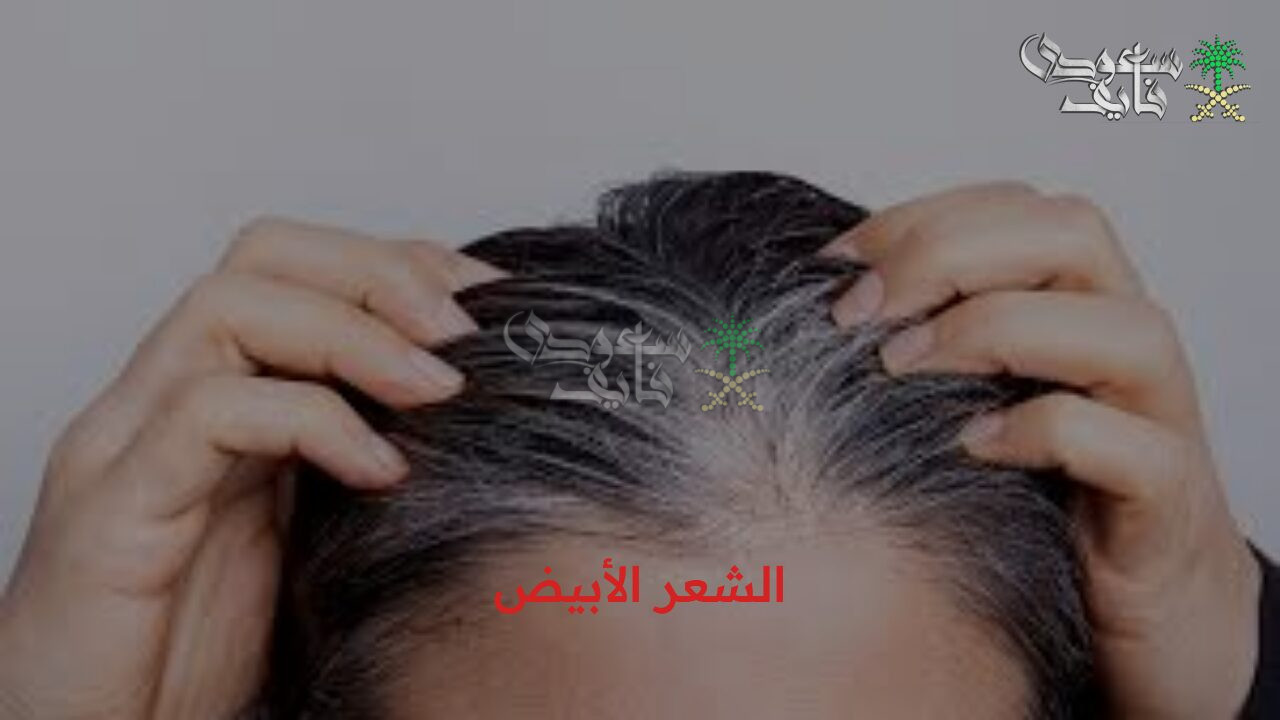 وداعاً شيب الشعر نهائياً.. خلطات طبيعية سحرية تقصي على الشعر الأبيض في أقل وقت ممكن