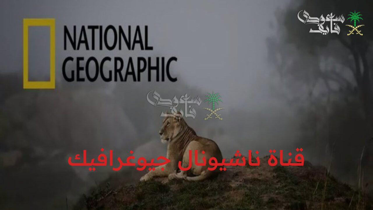 استمتع بعالم معرفة مثير.. تردد قناة ناشيونال جيوغرافيك 2025 بجودة ممتازة على الأقمار الصناعية