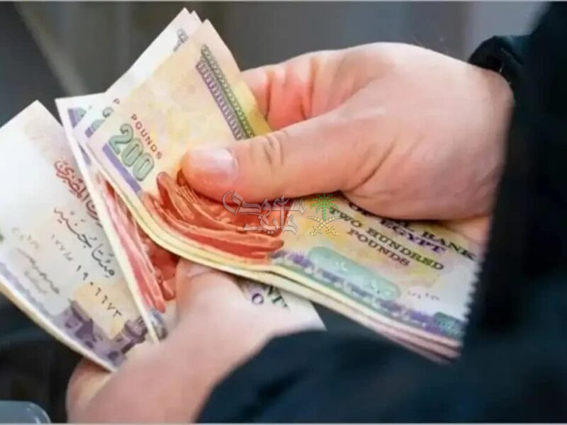 الكشف الكامل.. زيادة المعاشات للمتقاعدين 2026 وقرارات حكومية حاسمة بشأن الحد الأدنى