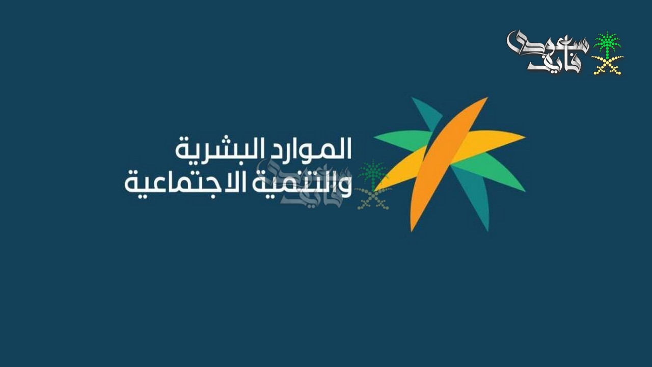 الضمان المطور