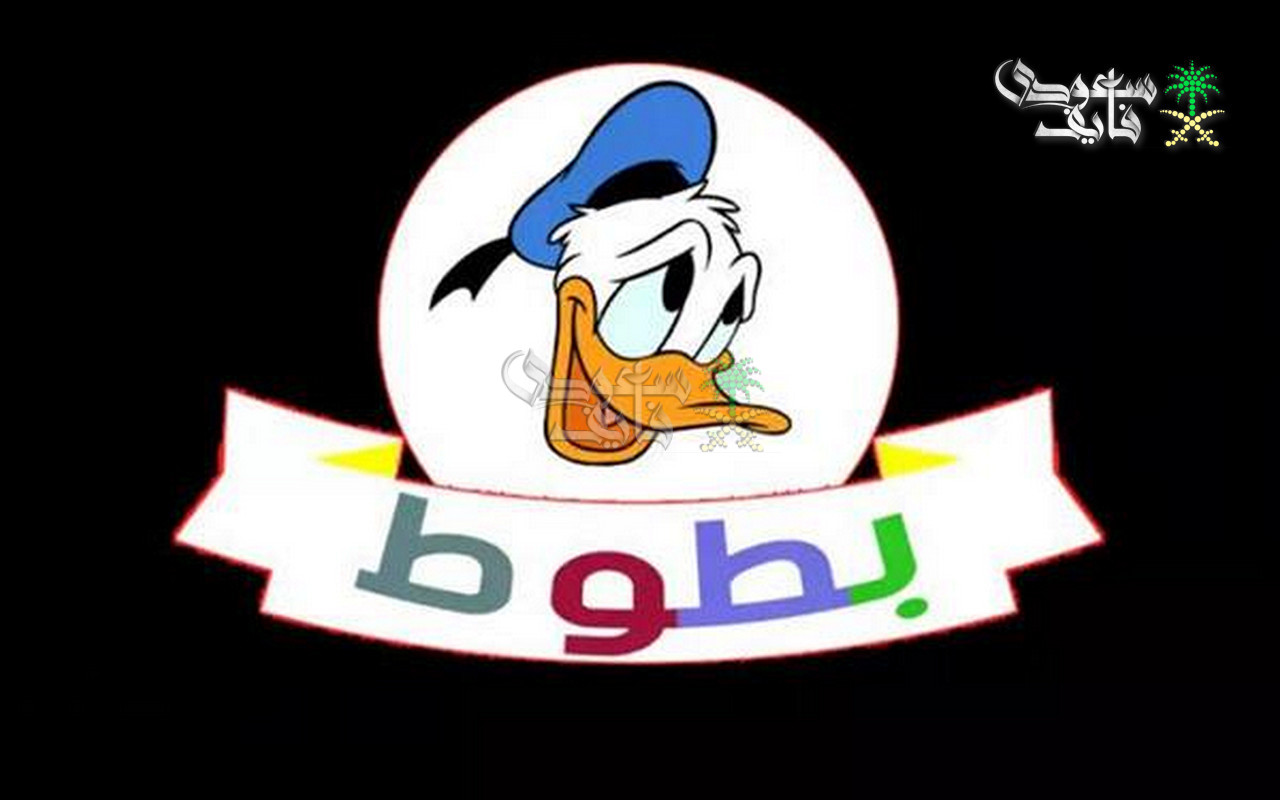 تردد قناة بطوط 2026